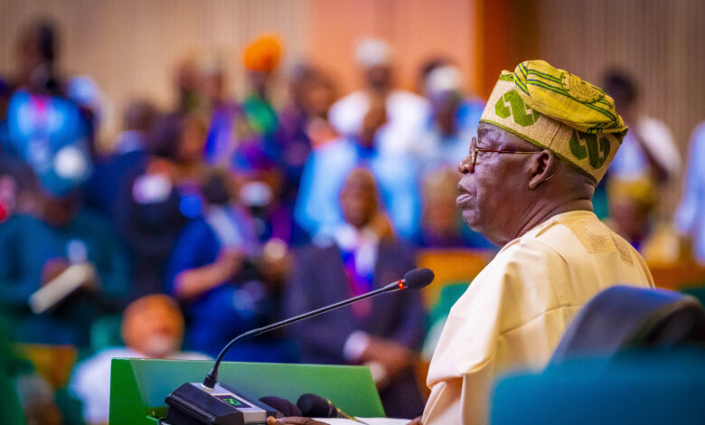 Nigeria targets N34.82trn in revenue to fund 2025 budget, says Tinubu 3 IMG 8481