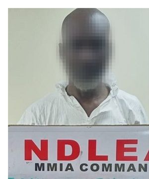 NDLEA nabs Brazil based businessman Ezeokoli Sylva with 700grams cocaine buried in stomach 1 NDLEA 22