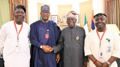 National Sports Commission leadership meets President Tinubu in Aso Villa 5 NSC leadership Tinubu Aso Villa