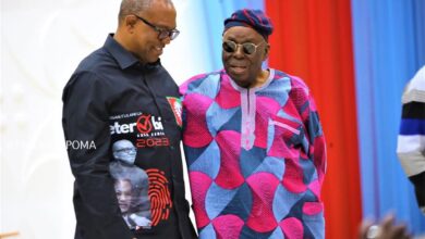 You go civil, he goes criminal, all good - By Simbo Olorunfemi 6 Peter Obi Afe Babalola SAN