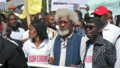 Calls for Soyinka, Falana to lead protests driven by ignorance - NHRC 5 Soyinka Save Nigeria Activists