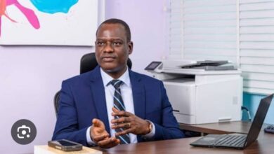 10 ways the Tax Bills will make states richer, by Temitope Ajayi 3 WhatsApp Image 2024 12 04 at 12.05.36 PM
