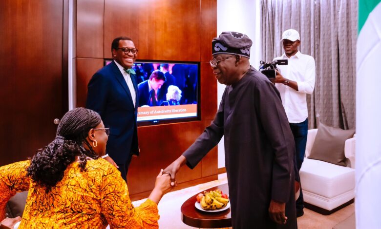 Tinubu lauds AfDB's $1.1bn energy investment to electrify 5million Nigerians by 2026 1 2 3
