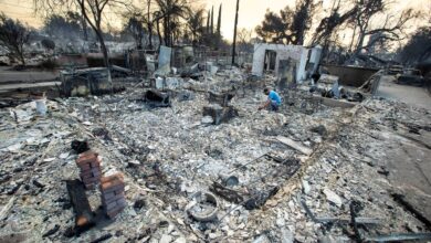 Los Angeles fires: Death toll rises to 16 3 2025 01 10t050522z 1898063768 rc2j6caox3o9 rtrmadp 3 california wildfires