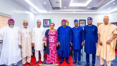 Meranda reaffirms Lagos Assembly's commitment to harmonious relationship with Sanwo-Olu 8 20250120 160219