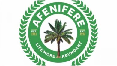 Afenifere tasks Southwest governors to tackle rising insecurity swiftly 2 Afenifere 768x432 1