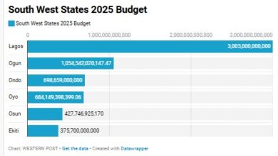 Lagos, five other South West states Govs. sign N6.25trn 2025 budget into law 10 CHART