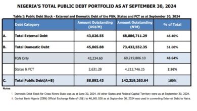 Nigeria’s public debt increases to N142.3trn in Q3 2024, says DMO 3 DMO