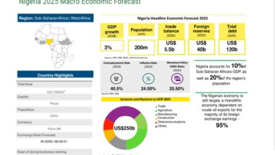 Nigeria GDP plummets by $300bn in value over last decade, says report 1 ECONOMY
