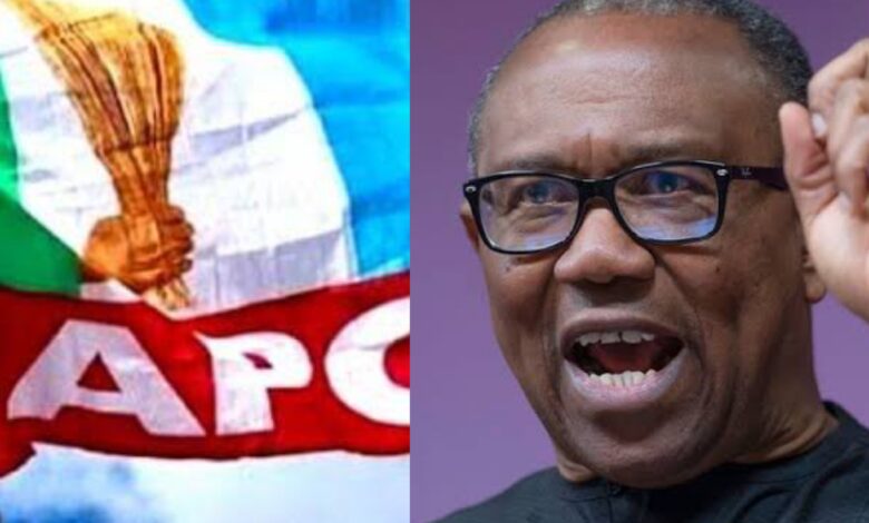 APC slams Peter Obi's New Year message as misleading, pessimistic 1 GridArt 20250103 073747393