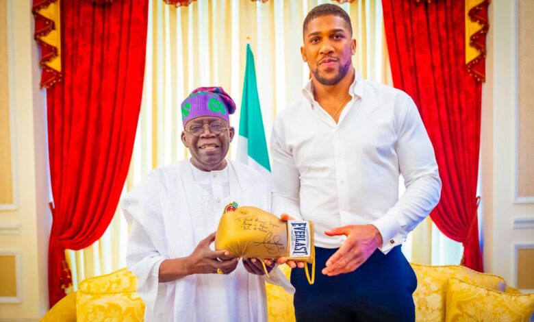JUST IN: Anthony Joshua visits President Tinubu, presents autographed glove 3 IMG 20250101 WA0028