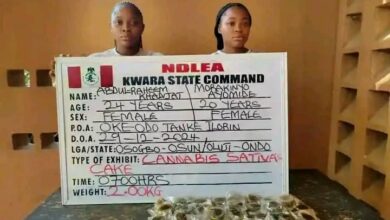 Our student arrested with drug laced cakes rare exception- Unilorin 10 IMG 20250105 WA0342
