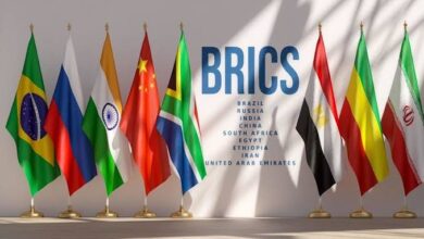 Brazil confirms Nigeria as BRICS partner country 7 images 155 1