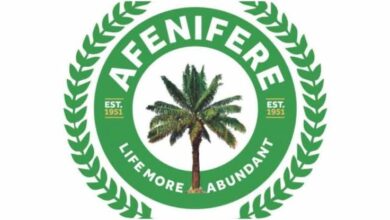 Afenifere reiterates demand for restructuring 18 images 187