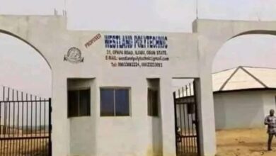 Polytechnic student killed in Osun community clash 7 img 2 1737063141544