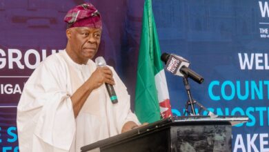 Wale Edun reaffirms FG’s commitment to private sector-led economic growth 8 3
