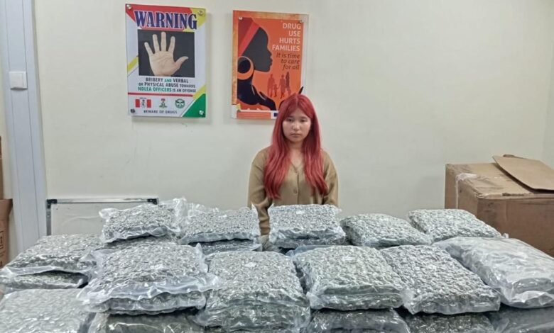 NDLEA nabs Thai lady at Lagos Airport with boxes of illicit drug consignments 1 IMG 20250223 WA0153