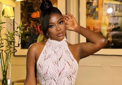 Davido’s Babymama, Sophie Momodu, plans showdown with Dabota Lawson 1