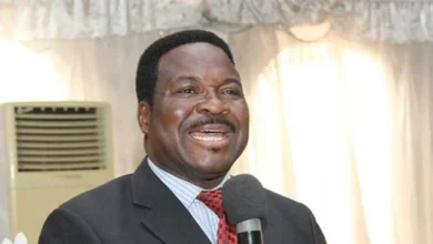 FG re-arraigns Mike Ozekhome over alleged forged passport in UK property case 4 Mike Ozekhome 640x360 1