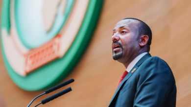 Ethiopia’s homegrown philosophy of Medemer serves as guiding framework for Africa’s collective progress: PM Abiy 9 Untitled 35