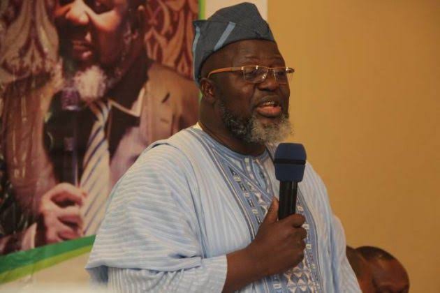 Buhari’s ex-minister Adebayo criticizes opposition to Sharia panels in South-West 1 images 2025 02 01T222302.407