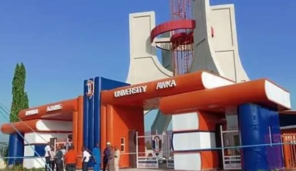 Nnamdi Azikiwe University expels student over lecturer assault 3 images 2025 02 12T072538.448 1