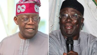 President Tinubu and Baba Adebanjo: A 'ringside' story, by Tunde Rahman 3 images 2025 02 22T105448.250