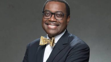 Ogun governor celebrates AfDB President, Adesina at 65 2 images 206