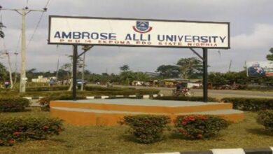 Edo govt closes all satellite campuses of Ambrose Alli University 17 images 211
