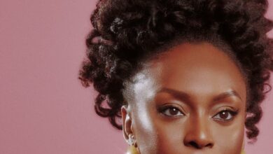Chimamanda Ngozi Adichie aims to ‘Write a Wrong’ in ‘Dream Count’ 8 04adichie review1 mobileMasterAt3x e1741470908121