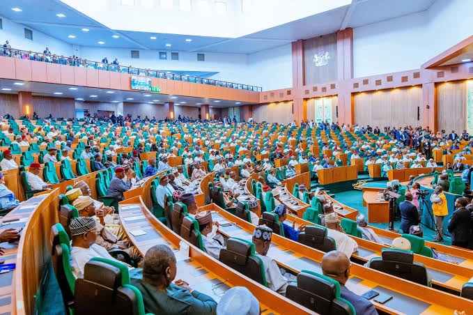 BREAKING: Reps approve constitutional amendment for creation of state police 1 20250327 064935