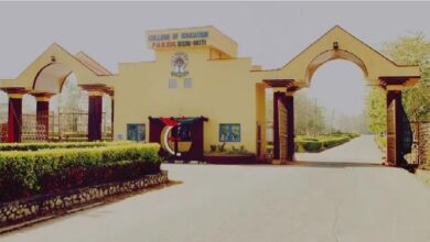 Ekiti education varsity begins work on technology hub 7 Bamidele Olumilua University of Education Science and Technology Ikere Ekiti 768x432 1