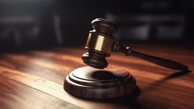 Man arraigned for allegedly stealing pregnant dog in Ondo 7 Court gavel