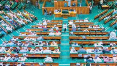 Reps extend 2025 capital budget to December 2026 7 House of Representatives 493x340 1
