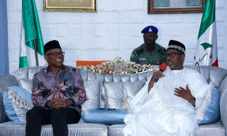 JUST IN: I’m ready to work with Obi to recover Nigeria, says Bauchi Governor 1 IMG 20250313 WA0045