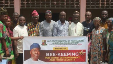 Oyo govt trains 1,950 farmers 14 IMG 20250314 WA0300