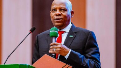 Kashim Shettima: Two years in the saddle with a visionary, historical reformer, by Stanley Nkwocha 8 IMG 20250326 WA0031