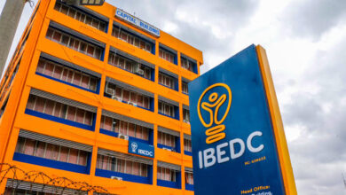 IBEDC dismisses reports of 3,000 staff layoffs 4 IMG 20250327 WA0016