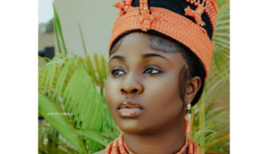IMG 20250311 182100 400 x 280 pixel
