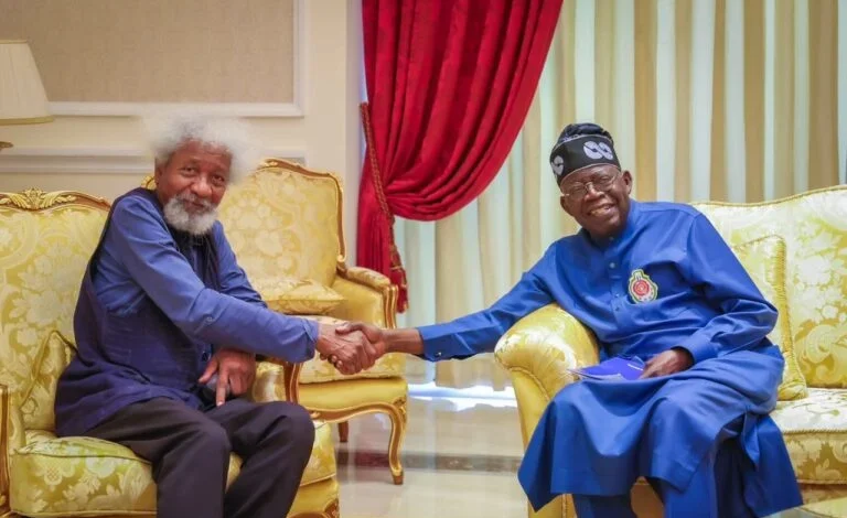 Soyinka dismisses calls to assess Tinubu’s administration 1 Soyinka and Tinubu 768x487 1