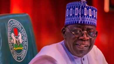 Nigeria’s IMF loan obligations down to $800.23m, says Presidential aide 10 Tinubu11 e1698334709633