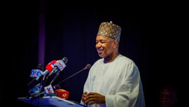 Bagudu calls for collaboration among arms of government to drive national development 15 a 1