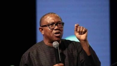 Elections is not ‘baby just the tip’ – by Chioma Ahaghotu 7 images 2025 03 20T080942.200