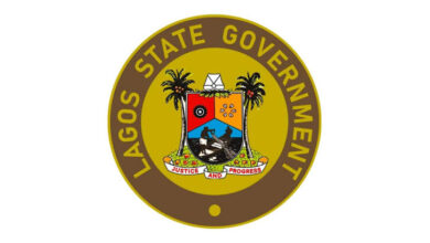Lagos seals 827 construction sites to foster construction safety 3 images 2025 03 26T163902.603