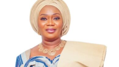 Council Chairman expresses excitement over restoration of electricity to Epe 1 images 240