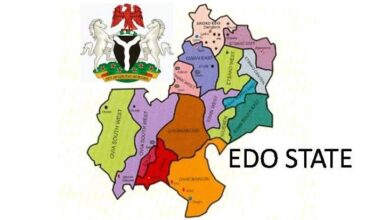 Group seeks immediate reinstatement of Edo council chairmen 10 images 244