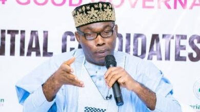 Insecurity: SDP’s Adebayo questions FG strategy, says bandits strike and vanish 6 images 248 1