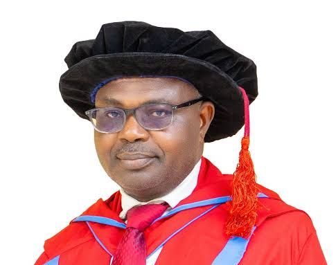 Ghana's democracy makes significant gains over two decades compared to Nigeria - University Don 1 images 249
