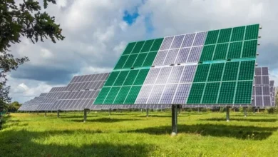 REA to transform power-deprived areas into renewable energy hubs 16 nigeria solar panels clean energy 647x324 1