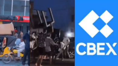 EFCC traces CBEX funds to four countries, says recovery underway 13 CBEX office 1